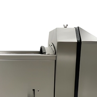 Machine à trancher les bananes plantains électrique automatique personnalisée avec logo, en acier inoxydable, capacité 300-500 kg/h, garantie 3 ans, certifiée CE