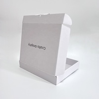 Boîtes d'avion en carton ondulé estampé à chaud en argent avec logo personnalisé boîte d'expédition blanche
