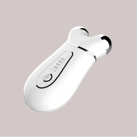 Dispositif de rajeunissement du visage et du cou à micro-courant Masseur domestique ABS transfrontalier Instrument à rouleau électrique pour le raffermissement du visage des lèvres