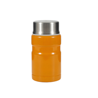 Boîte à lunch isotherme en acier inoxydable de 500 ml pour adultes, écologique, performance thermique de 6 à 12 heures