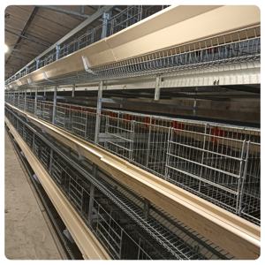 Nuovo tipo H completamente automatico Jaulas Para Gallinas Ponedoras gabbia di gallina di buona qualità con il materiale zincato a caldo - Product Image 6