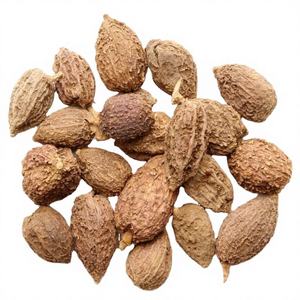 Vente en gros de fruits entiers séchés naturels de Sha Ren (Amomum Villous), épices et herbes de type coquillage, en provenance de Chine - Product Image 4