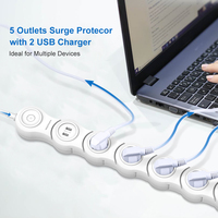 Multiprise Européenne OEM Personnalisable Couleur 2 Ports USB 16A 5 Prises CA Protection Contre les Surtensions Pivotante Flexible PC+ABS Garantie 12 Mois
