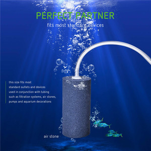 Aquarium Vliegtuigslang - Product Image 6
