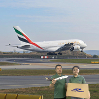 Logistikunternehmen-Agenturpreis FBA-Versandlieferantenkosten von China nach Frankreich, Deutschland, Schweiz, Kanada, USA, Spanien, UK