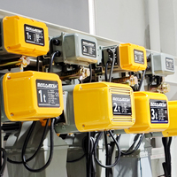 Experience Warehouse Grue de plafond 3000 kg Extracteur de chaîne électrique portable avec capacité de 3 tonnes