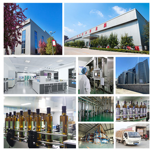 Olio di Semi di Zucca Pressato a Freddo Purezza 99,99% Grado Alimentare Confezione all'Ingrosso per Cucina - Product Image 4