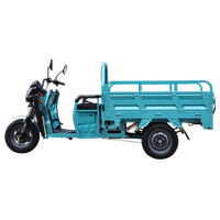 Tricycle électrique motorisé chinois à 3 roues, carrosserie ouverte, charge utile de 400 kg, batterie 60 V, puissance supérieure à 1000 W, vitesse de 30 km/h