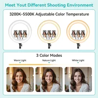 Anneau lumineux LED de 22 pouces, télécommande à intensité variable, 3200-5500K, lampe de bureau pour photographie et maquillage avec support en métal ABS, 12V 45-50W