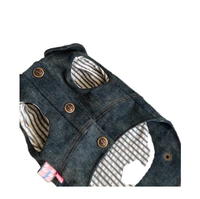 Vêtements mignons pour animaux de compagnie, style princesse, pour chiens et chats, veste en jean pour Bichon et Yorkshire Terrier