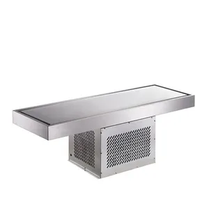 Commercial stainless steel easy cleaning fresh food storage hotel buffet built-In freezer table cooler refrigeration equipment