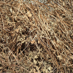 สมุนไพรเมโซน่าแห้งพร้อมใบหญ้าสีดำใช้สำหรับทำขนมเยลลี่และชาส่วนผสมสมุนไพรธรรมชาติจากเวียดนาม - Product Image 1