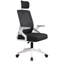 Fauteuil de Bureau Informatique Confortable et Économique avec Accoudoirs Réglables, Pivotant, en Maille, Exécutif et Ergonomique