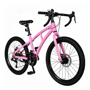 Wholesale Safety-Focused Mountain Bike Disc Brake Single Speed Folding Mountain Bike with Weekend Family <strong>Park</strong> <strong>Cycling</strong> - Product Image 4