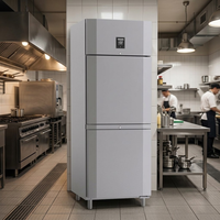 Solution tout-en-un : Réfrigérateur et congélateur multifonctionnels, robustes et durables, pour les entrepreneurs en cuisine