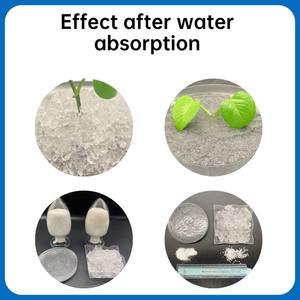 Tarım, Ağaç Dikimi ve Kaplumbağaların Uyku Dönemi için Kalsiyum Poliakrilat Hidrojel Parçacıkları Su Emici Jel - Product Image 4