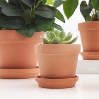 Lot de 6 pots à succulentes modernes en terre cuite non émaillée de 5,7 pouces avec soucoupe et trou de drainage pour usage intérieur/extérieur