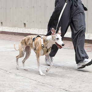 Reflective Dog <b>Harness</b> With Adjustable <b>Pet</b> Vest <b>Harness</b> And No Choke Training <b>Harness</b> For Safe Outdoor Walking - Product Image 1