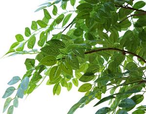 Hoja de <span class=keywords><strong>olmo</strong></span> Artificial para decoración del hogar, hojas artificiales de seda, QSLH-W131 - Product Image 4