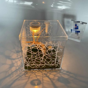 Factory Wholesale Clear Lucite Jumping Spider Feeding Cage Acrylic Display Enclosure for Reptile Breeding Observation - Product Image 6