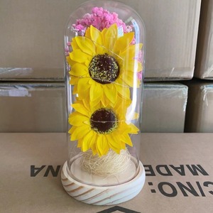 Flor Preservada en Cúpula de Cristal, Rosa Seca, Regalo Creativo Hecho a Mano con Luz LED para el Día de San Valentín, Navidad, para Novia - Product Image 3