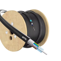 Câble à fibre optique blindé à bande d'acier monomode GYTS 12/24 fibres pour extérieur/aération, résistant aux rongeurs - Vente directe usine et personnalisable