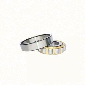 NU309 <span class=keywords><strong>ECNP</strong></span> Tamaños de rodamiento 45x100x25mm Rodamiento de rodillos cilíndricos NU309ECNP - Product Image 1
