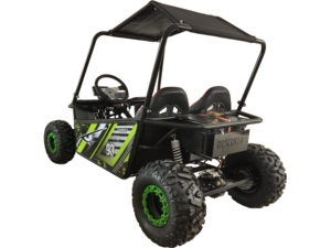 EGS 2025 Nouveau <span class=keywords><strong>Buggy</strong></span> Électrique 1000W 48V 20AH 2 Places Style Coach Double Pédale de Frein Enfants Adultes Karting Extérieur Vitesse Max 50km/h - Product Image 5