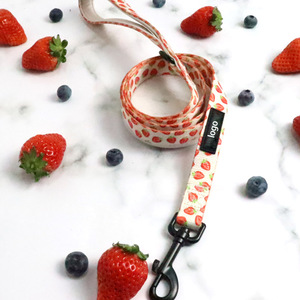 Harnais Confortable et Élégant en Maille Fraise pour Chien, Ensemble Laisse Courte, Gilet Rembourré Anti-Traction, Laisse à Libération Rapide pour Chats et Chiens - Product Image 5