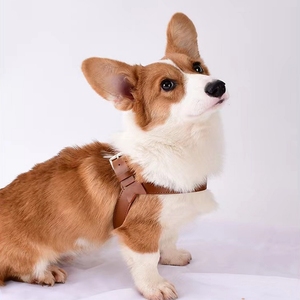 Tali Kekang Dada Leher Anjing, Tali Kulit PU Dapat Dicuci Ramah Lingkungan Dapat Disesuaikan Tali Dada Anjing - Product Image 5