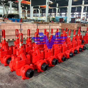 เทรนด์ใหม่ วาล์วประตูคุณภาพสูงจากโรงงาน 6a "dm" รุ่น Bw Xxs - Product Image 5