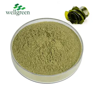 Natural Food Grade Raw Vegetable Supplement Use Brown Green Color Organic Pure Wakame Powder
