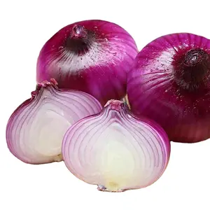 New Fresh Yellow Red Onions China Vegetable Food Green Wholesale Export Onion