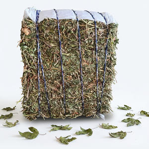 Passiflora Incarnata exportador - Product Image 1