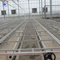 Table roulante en treillis métallique galvanisé à chaud, lit de pépinière mobile pour serre commerciale, plantation professionnelle de fleurs