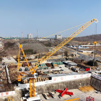 Grúa Torre Articulada DAHAN DH650 de 35m, 65m, 45 toneladas, Altura 60m, 1 Año de Garantía, Motor PLC, 650t.m