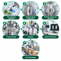Capsules de Probiotiques Marque Blanche OEM/ODM Enzymes Prébiotiques Thé Vert Cayenne Complément Alimentaire Nutrition Digestive Vente en Gros Usine