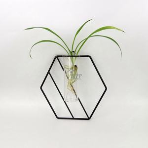 Vase à tubes de Test géométrique en verre forgé, nouveau Design, Vase de fleurs de <span class=keywords><strong>Terrarium</strong></span>, pour la lavande et les plantes hydroponiques, de haute qualité - Product Image 6