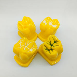 의사-환자 커뮤니케이션 및 병원 클리닉 교육을 위한 4 개의 구덩이 균열 폐쇄 프로세스 디스플레이 모델 세트 - Product Image 4