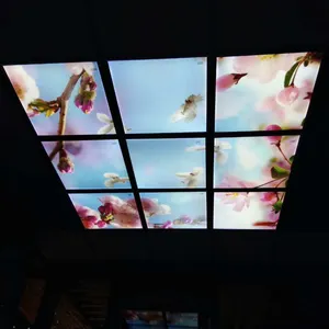 Flower Bloom Painel Luz Recesso Corredor Lâmpada do teto Céu Azul Branco Nuvem Visão Decoração Sala Luzes de teto