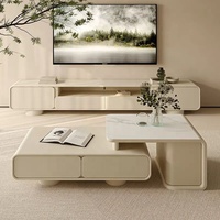 Table basse moderne et meuble TV pour salon, blanc, simple, multifonctionnel, mobilier de maison en pierre