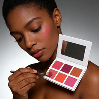 Palet Blush 6 Warna Tahan Air Merk Sendiri Private Label, Bedak Padat DIY untuk Rias Wajah
