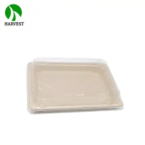 Takeaway Box Packing Box PE Coating Recyclable Eco Sushi Takeaway Delivery Food Packaging Box