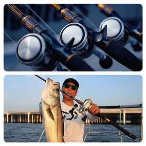 Moulinet de pêche Daiwa Ryoga Sv 100 mm en alliage d'aluminium avec système ATC pour la pêche en eau douce et en eau salée - Product Image 4