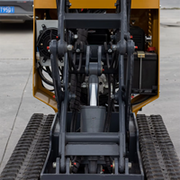 Hochlastfähiger Benzinbetriebener Hydraulischer Mini-Raupendumper mit Gummiketten 1 Jahr Garantie Hocheffiziente Pumpe & Getriebe