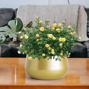 Pot de jardinière en métal fabriqué à la main de haute qualité porte-fleurs décoratif antirouille pour bureau à domicile balcon pelouse et jardinage intérieur - Product Image 4