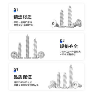 Viti Autofilettanti a Testa Piatta Grande in Acciaio Inox 304, Filettatura Interna a Stella, Sottili M2/M3/M4 - Product Image 4