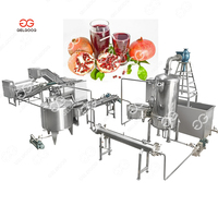 Gelgoog Granaatappel Extract Sapmachine Granaatappelkorrels Saplijn Granaatappelmolasses Maakmachine