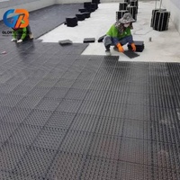 Planche de drainage pour la construction, barrière anti-infiltration pour tunnel de sous-sol, résistante à la pression et aux perforations par les racines