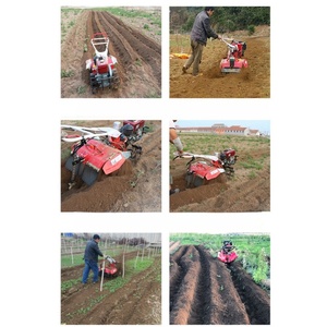 Motoculteur rotatif multifonctionnel <span class=keywords><strong>à</strong></span> main Verger Terre arable Rotavator Agriculture Manuel Weeder Hoe Ridging Machine - Product Image 2